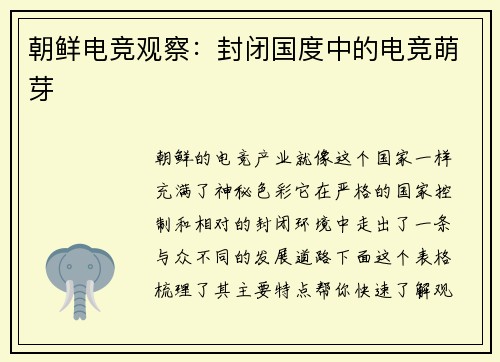 朝鲜电竞观察：封闭国度中的电竞萌芽